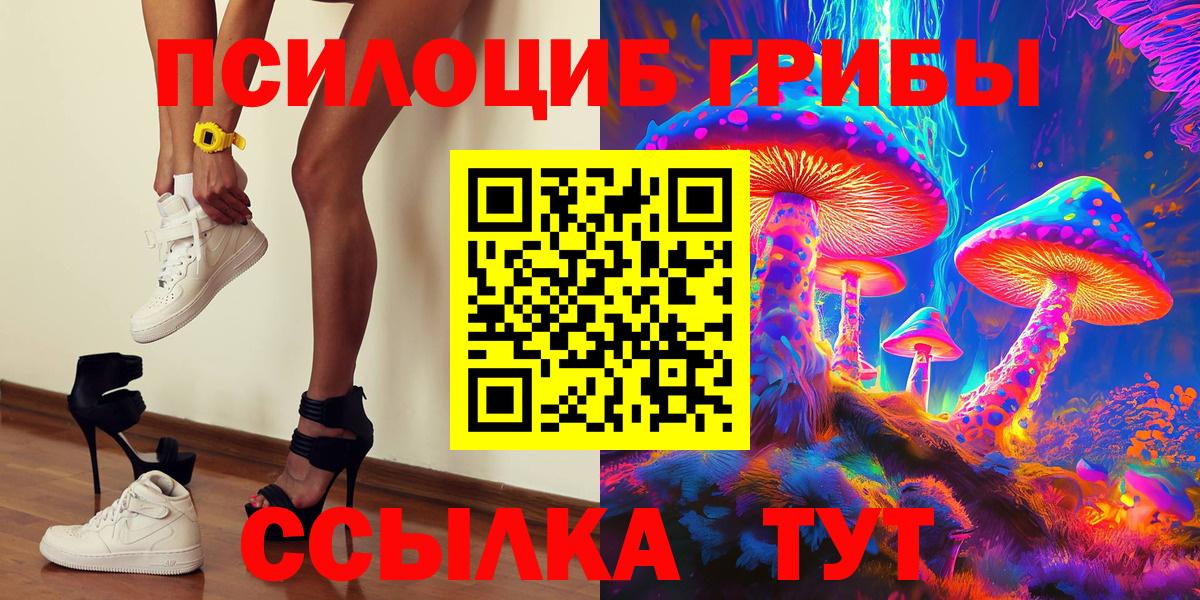 Псилоцибиновые грибы Cubensis Новороссийск