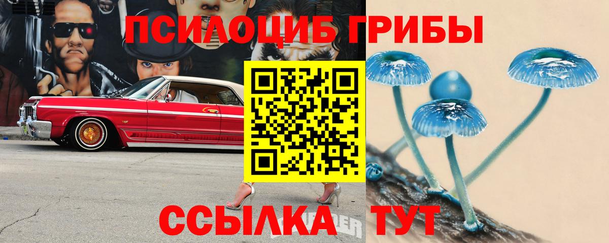 Галлюциногенные грибы ЛСД  Вход с VPN  купить  сайты  Новороссийск 